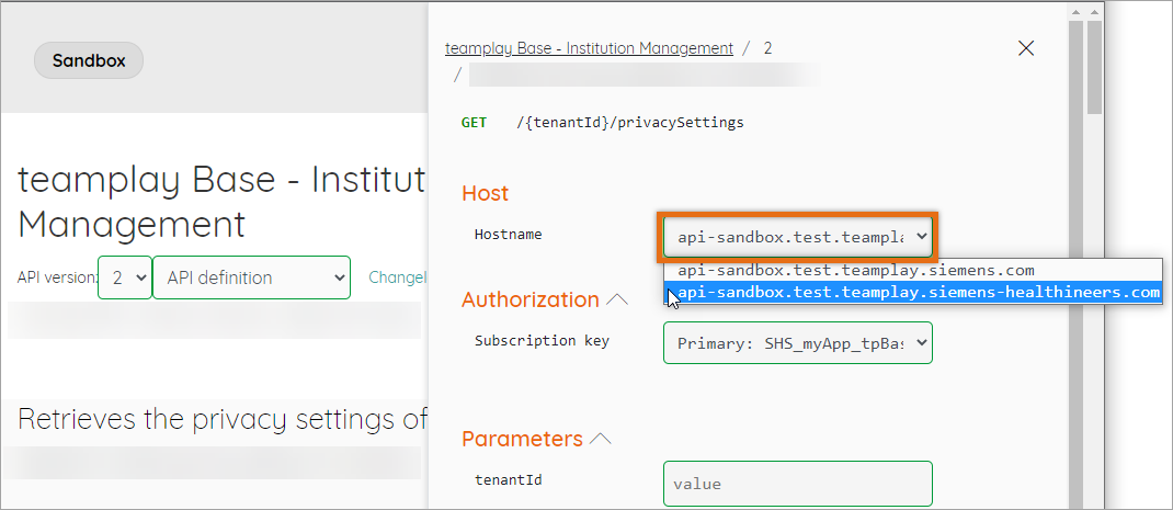 Host names in the Try it panel